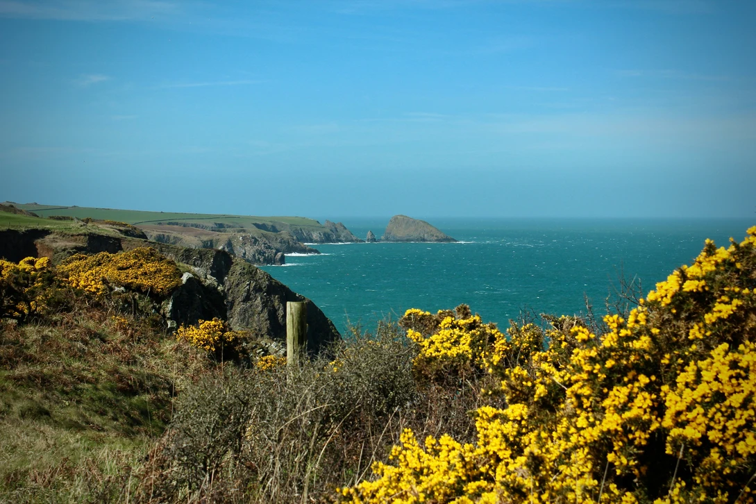 The Pembrokshire Coastline During The Summer Eded